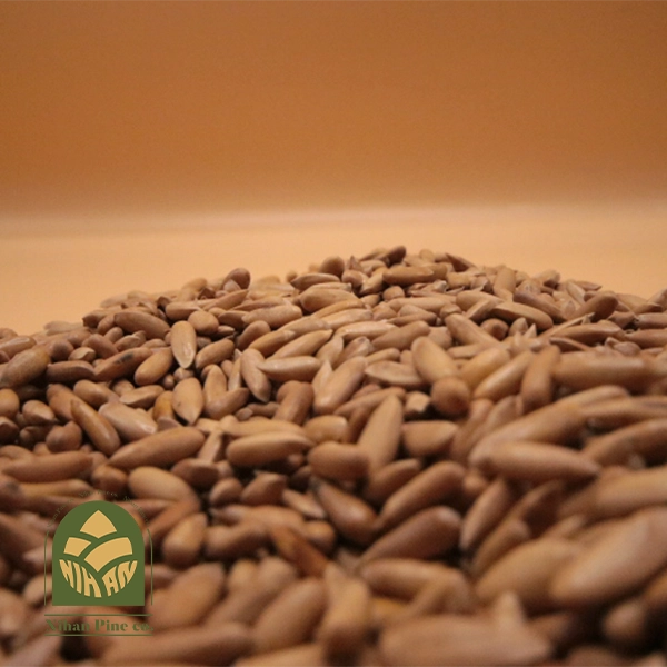 pine nut chilgoza
